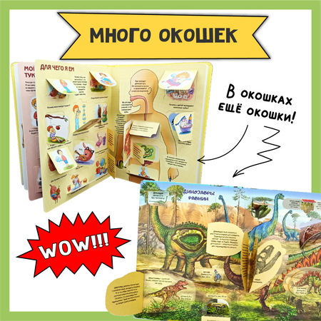 Детские книги с окошками БимБиМон набор энциклопедий про тело человека и динозавров