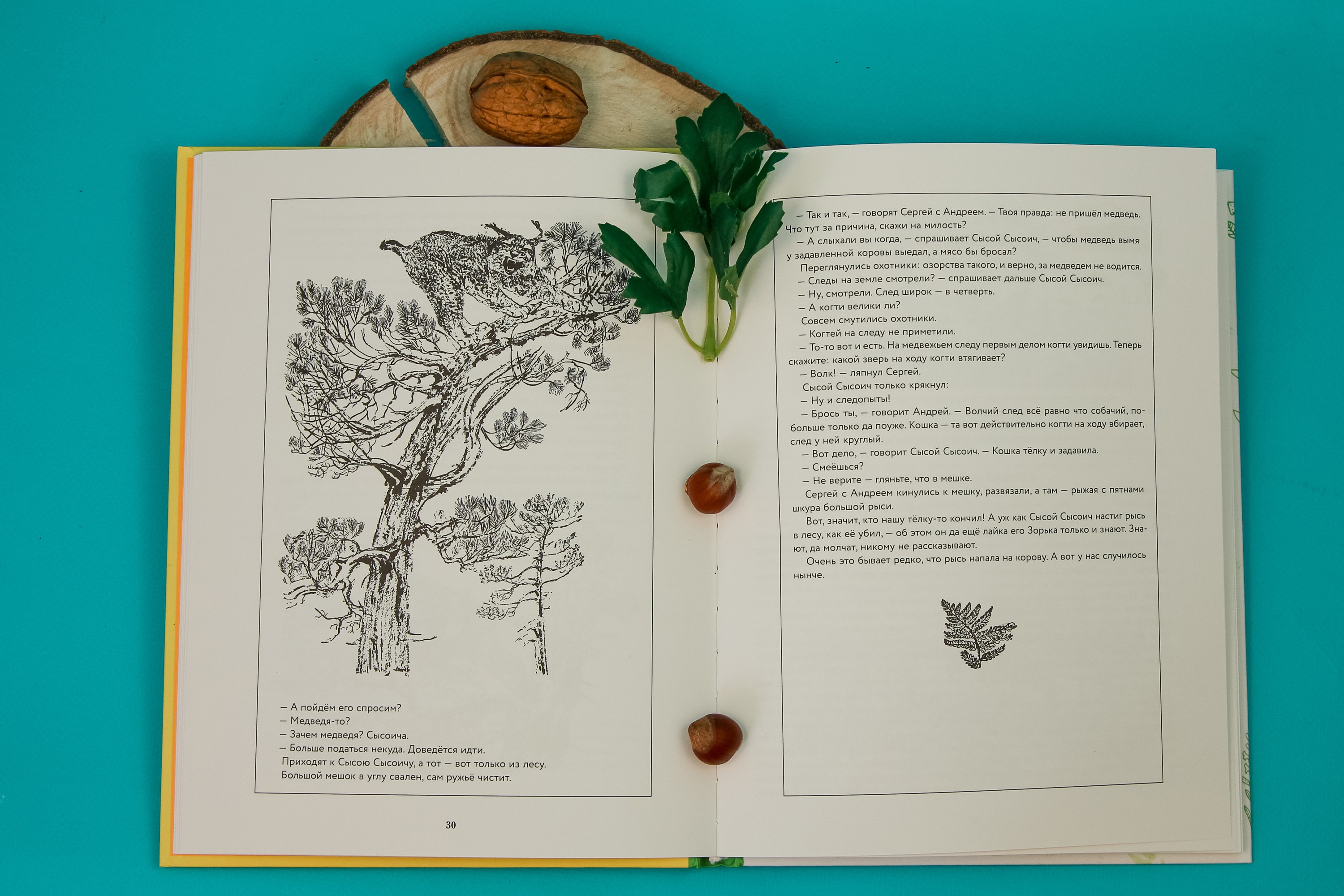 Книга ИД Мещерякова Лесная газета Лето - фото 3