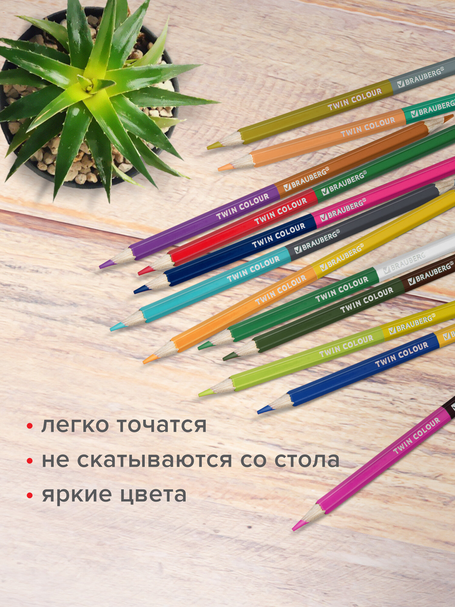 Карандаши цветные Brauberg 24 шт. - фото 5