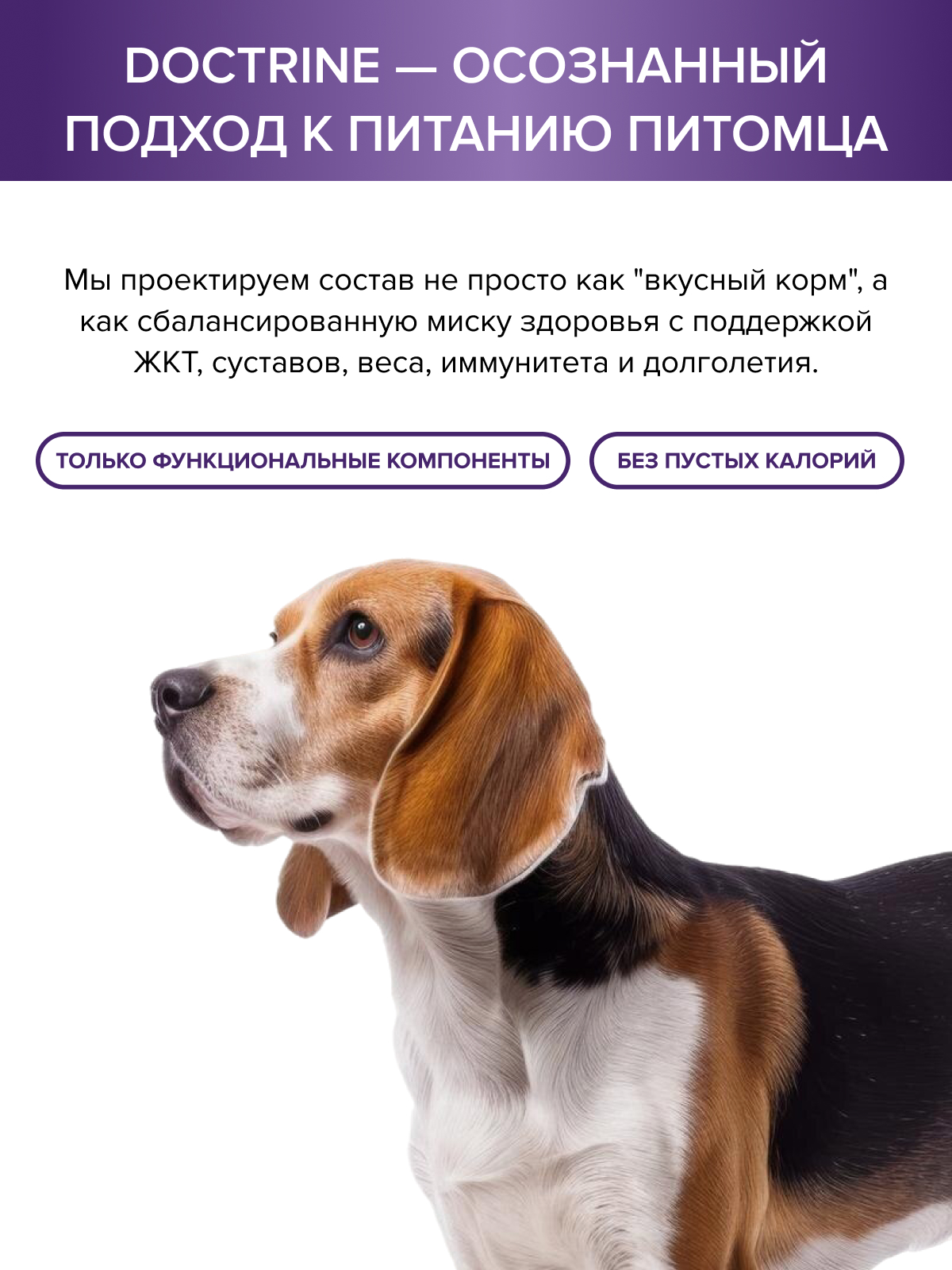 Корм для взрослых собак DOCTRINE сухой средних и крупных пород с белой рыбой и рисом 3 кг - фото 10