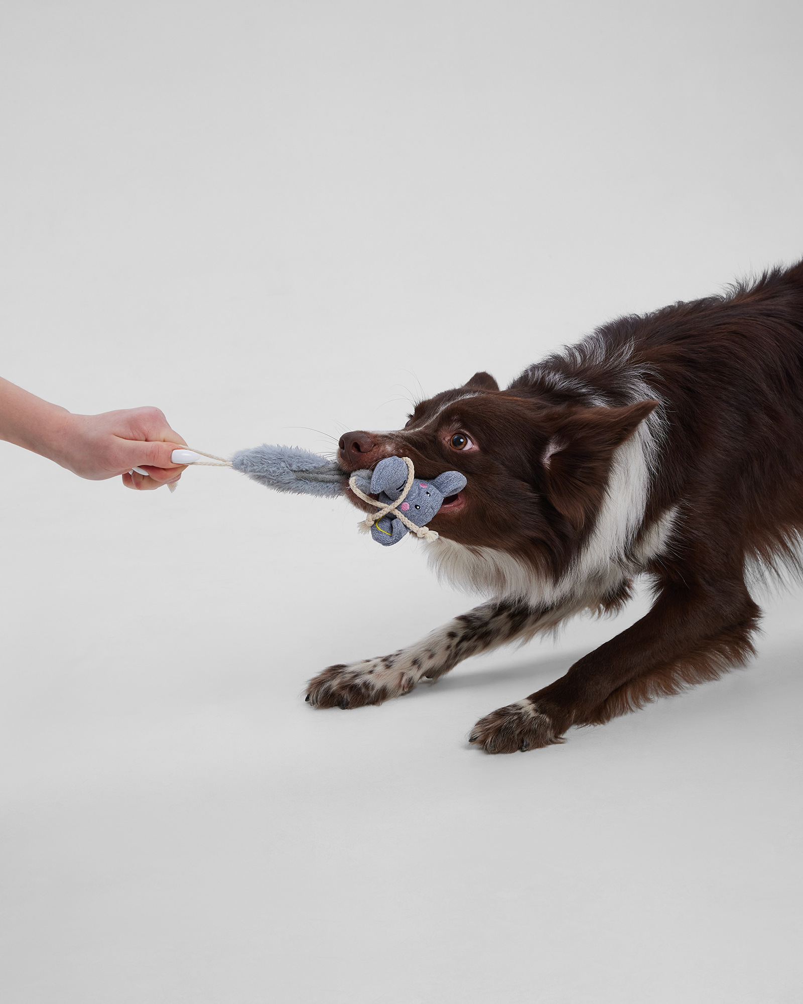 Игрушка для собак Barbaks Слонёнок плоский с канатиком шуршит 33*26.5 см - фото 7