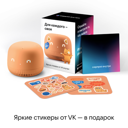 Умная колонка VK Капсула Нео оранжевый VKSP11OR