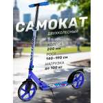 Самокат CITYRIDE двухколесный