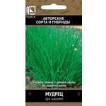 Лук шнитт ПОИСК Мудрец (А) 0.5г