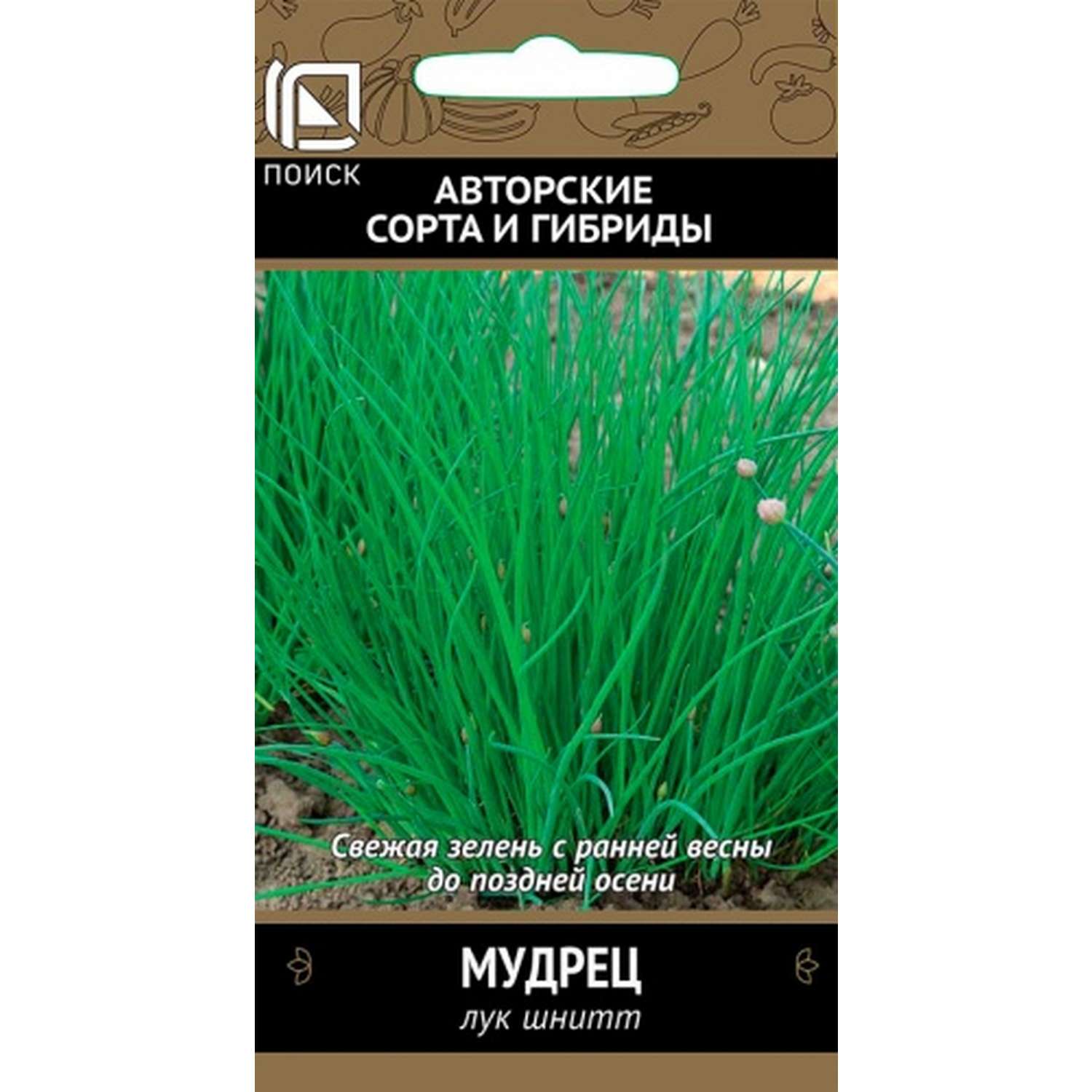 Лук шнитт ПОИСК Мудрец (А) 0.5г - фото 1
