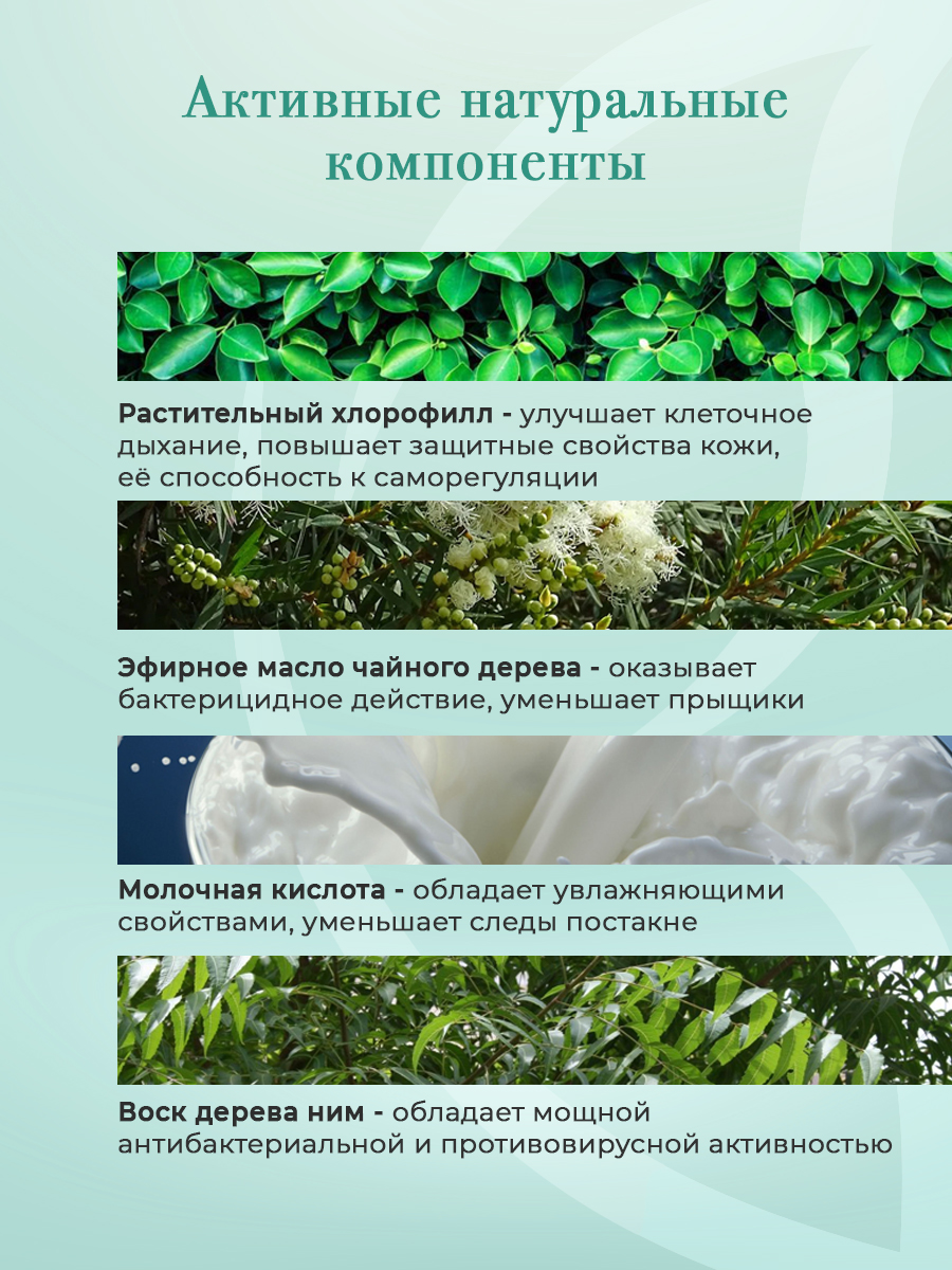 Крем KLEONA 50 мл - фото 6