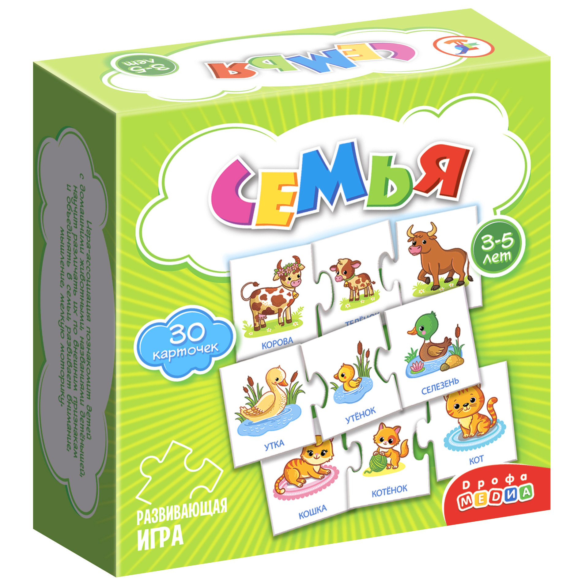 Игра развивающая Дрофа-Медиа Семья 4209 - фото 1