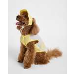 Костюм для собак и кошек Зоозавр