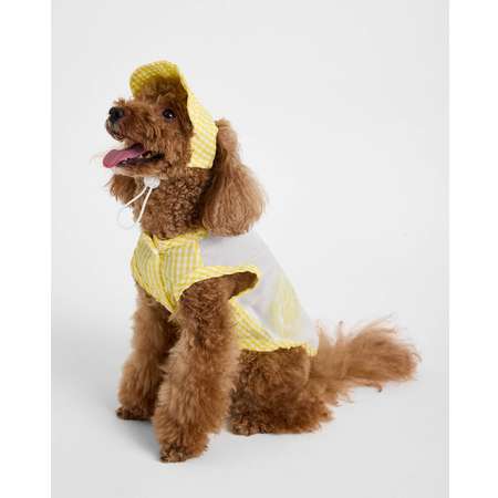 Костюм для собак и кошек Зоозавр