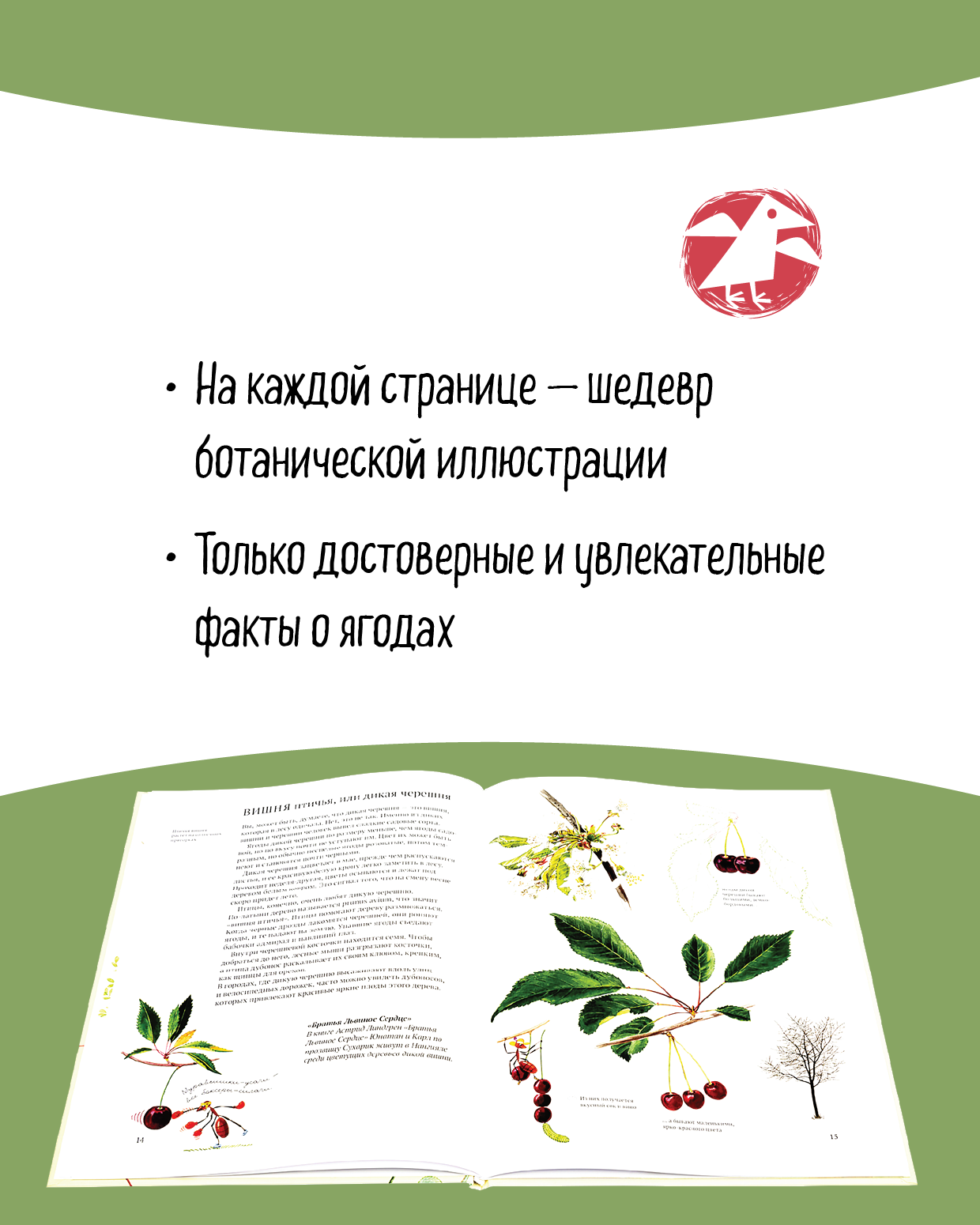 Книга ALBUS CORVUS Софи в мире ягод - фото 4