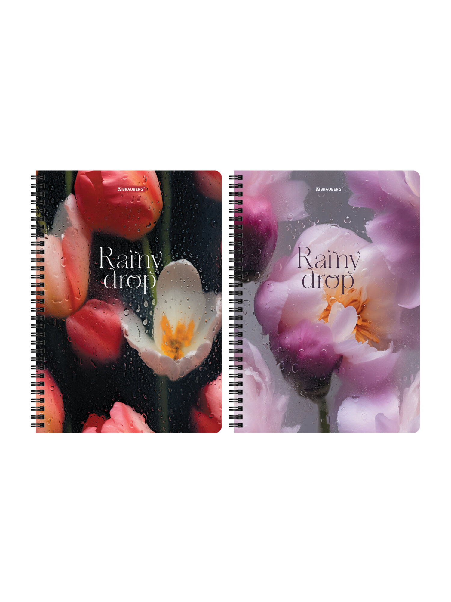 Общая тетрадь Brauberg клетка 96 лист. 2 шт. - фото 5