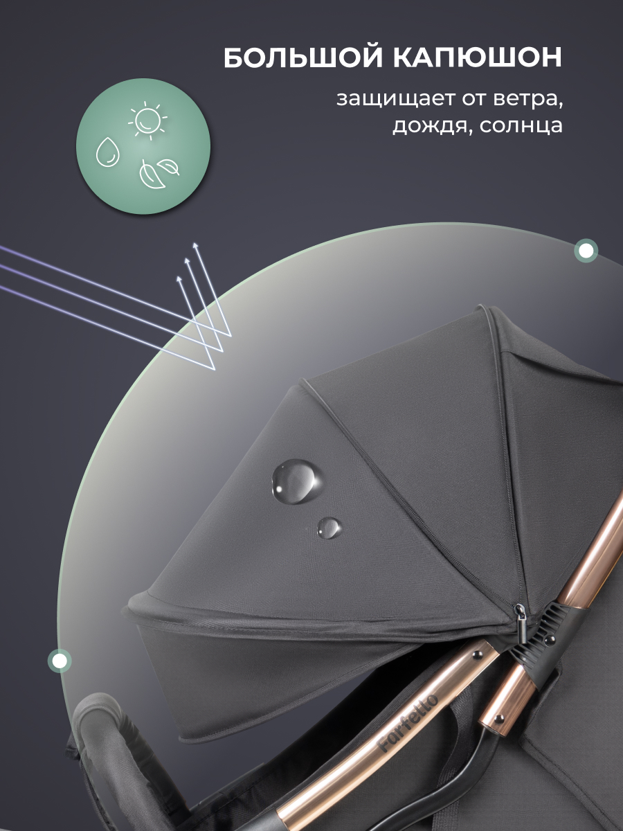 Коляска прогулочная Farfello Sunrise черный - фото 4