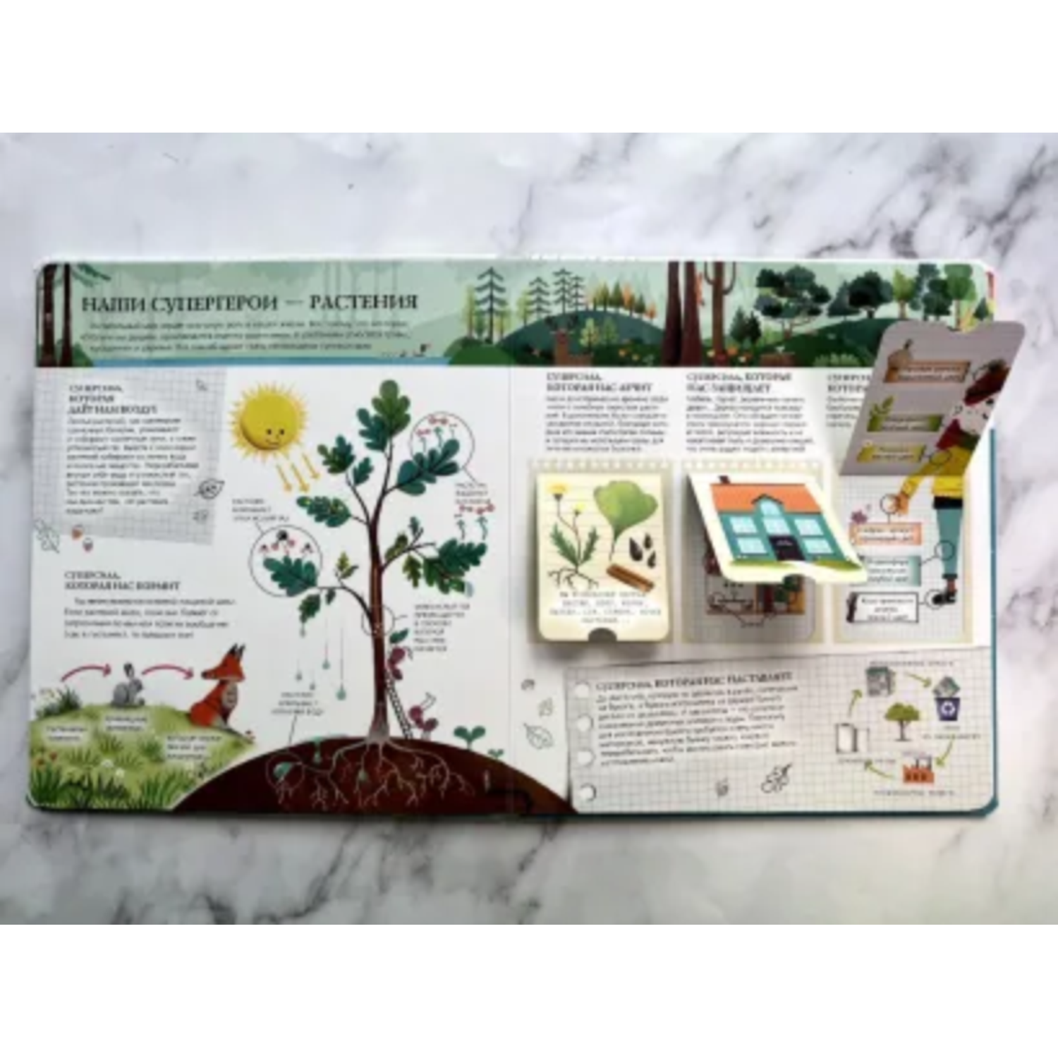 Книга Моя Земля Интерактивные энциклопедии - фото 3