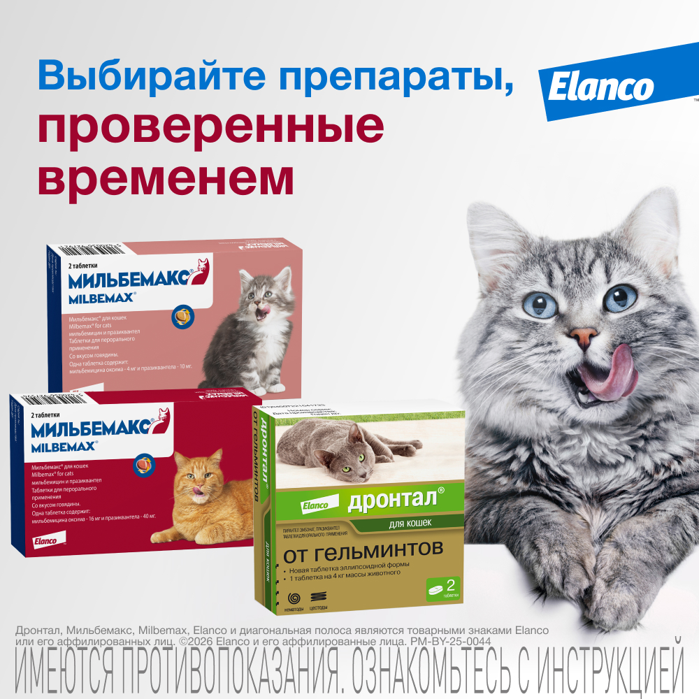 Антигельминтик Мильбемакс Elanco для котят и кошек мелких пород 2таблетки - фото 11