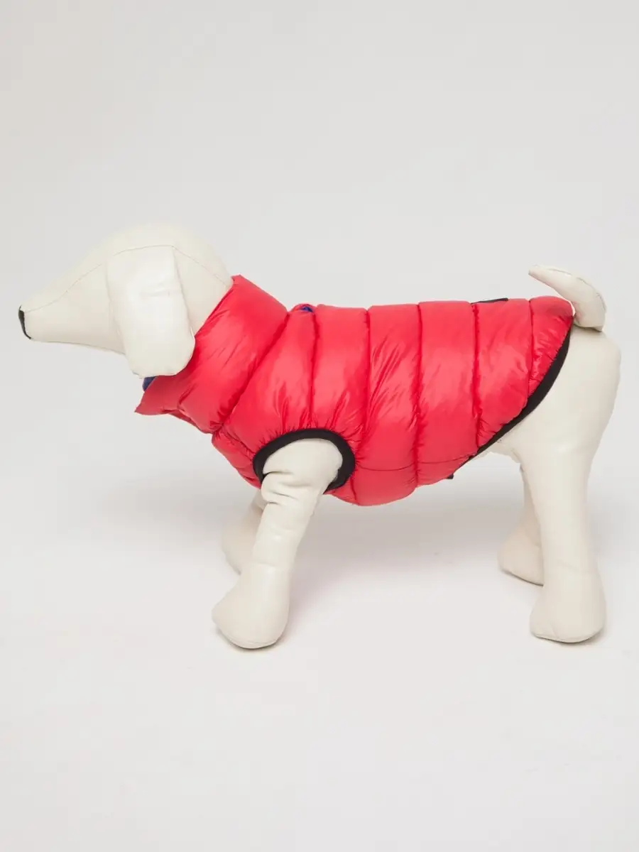 Жилет PIFPAF DOG двухсторонний - фото 1