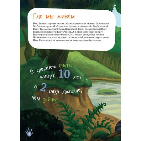 Книга Альпина. Дети Я енот