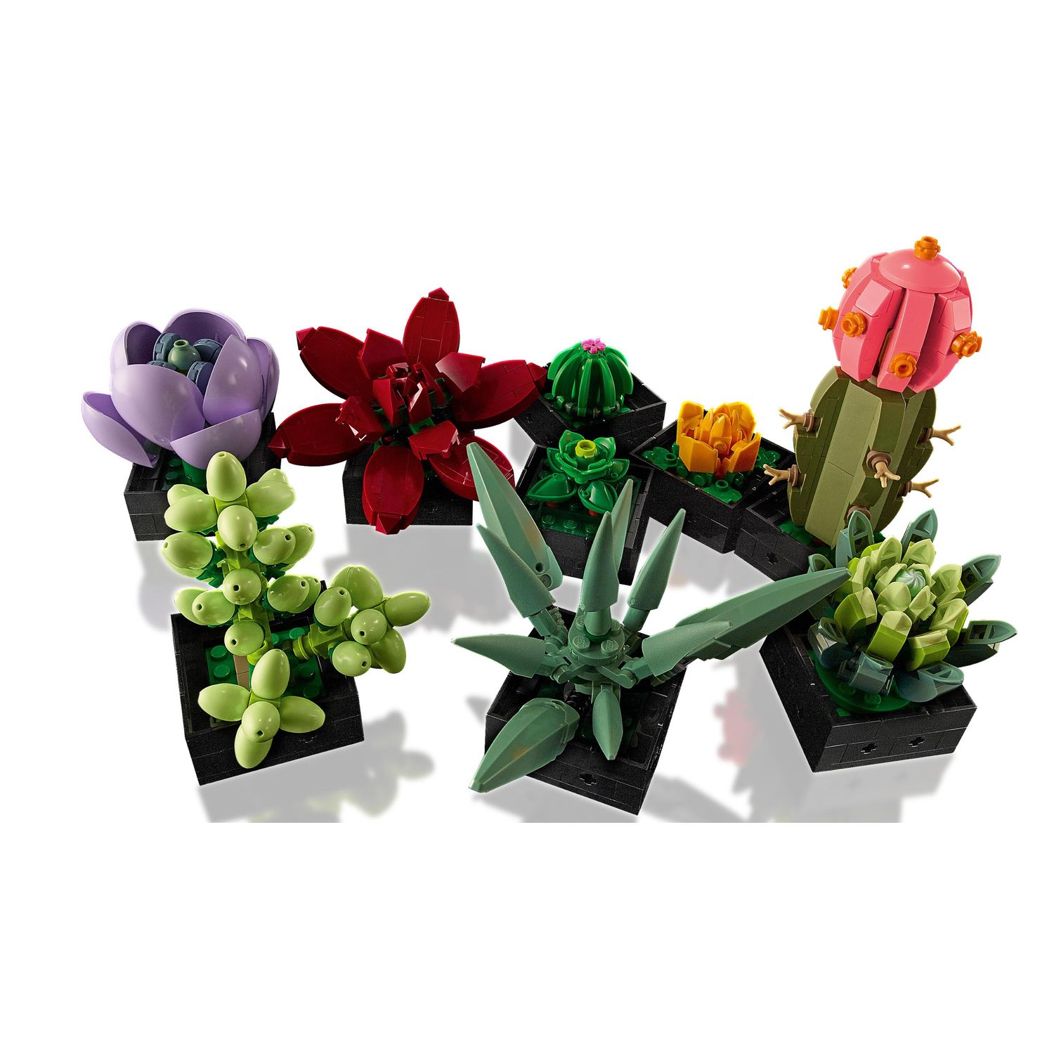 Конструктор LEGO Icons Суккуленты блочный - фото 5