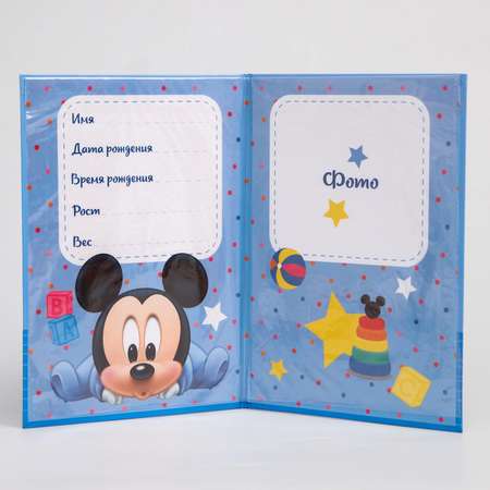 Обложка на документы Disney