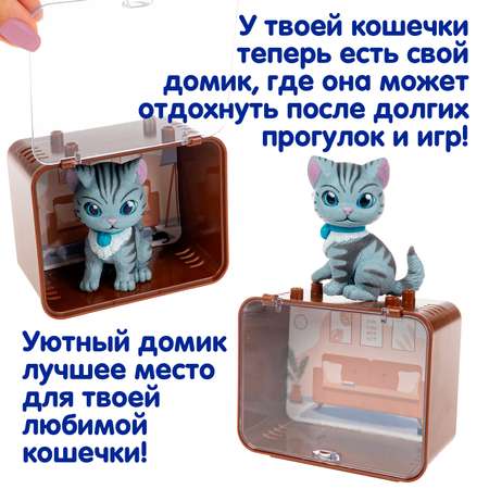 Игровой набор Bondibon ЛАПА ДРУЖБЫ Котенок серый