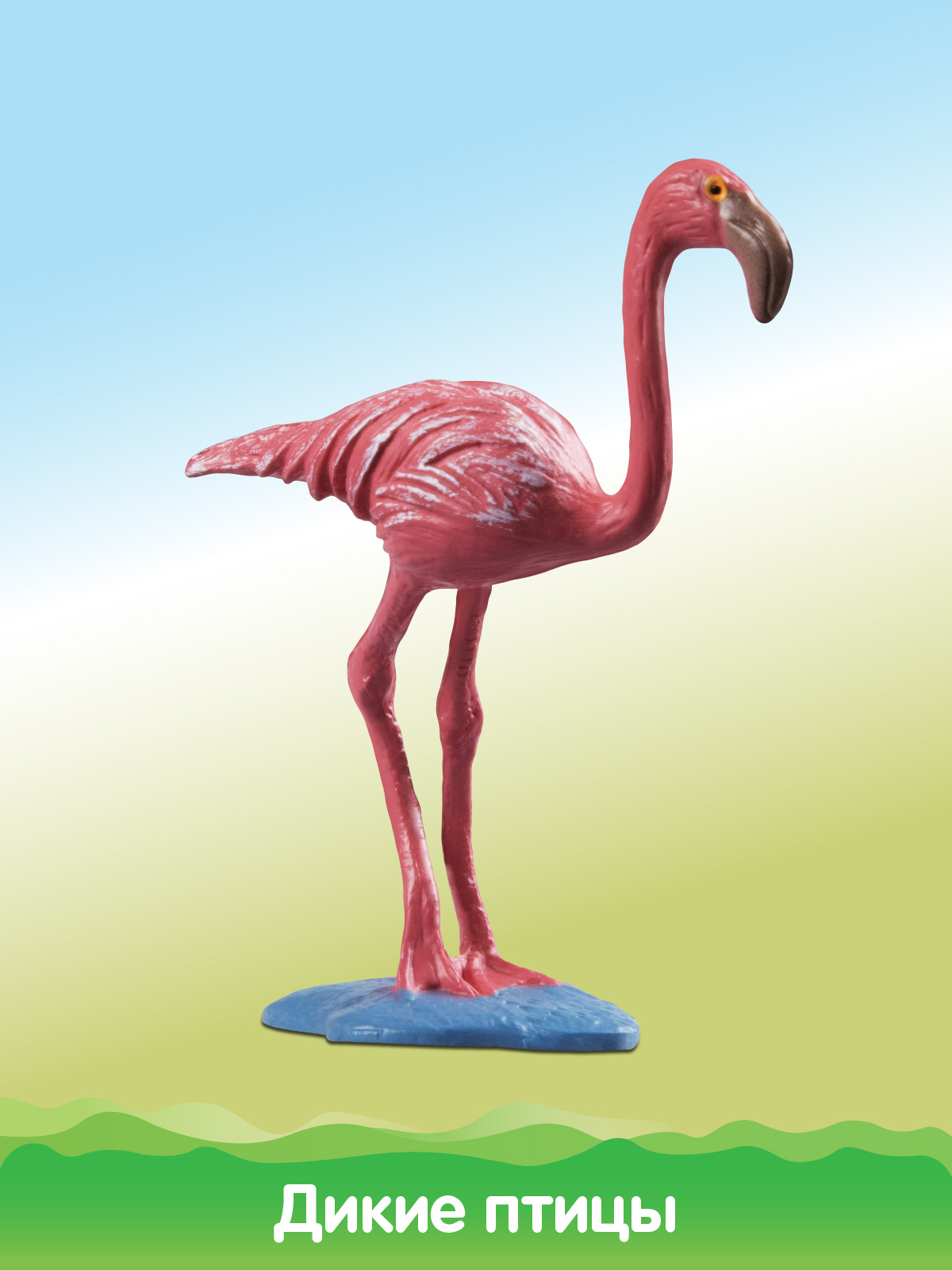 Игровой набор DARWIN Животные Птицы - фото 11