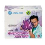 Набор для выращивания Intellectico