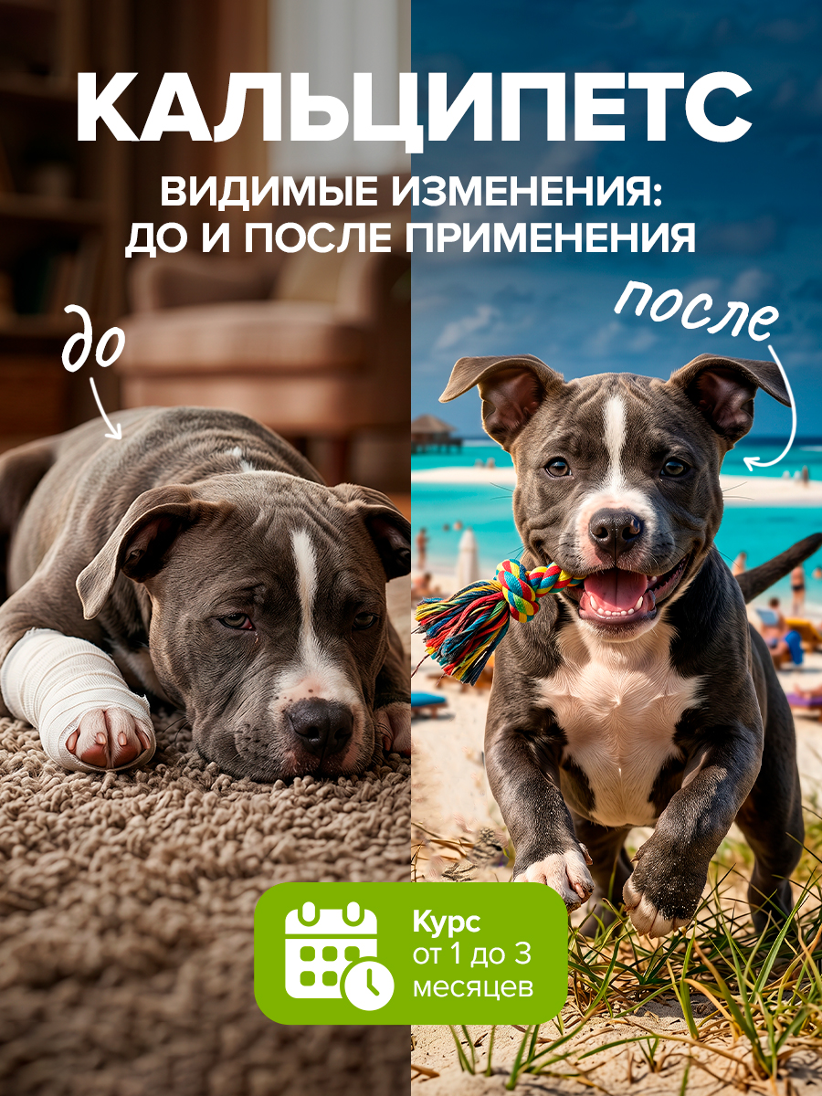 Корм для животных Pets health для поддержки костной ткани после травм и нагрузок собак и кошек - фото 10