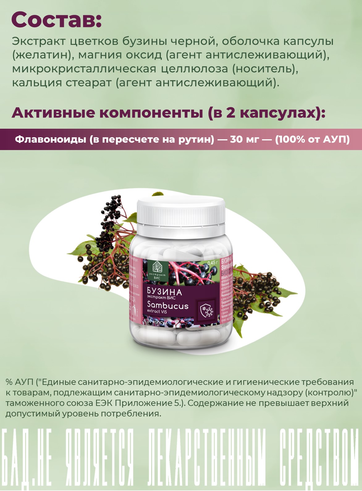 БАД Экстракт-ВИС Бузина капсулы №30 - фото 3