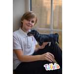 Мягкая игрушка Tallula Такса 32х18 см