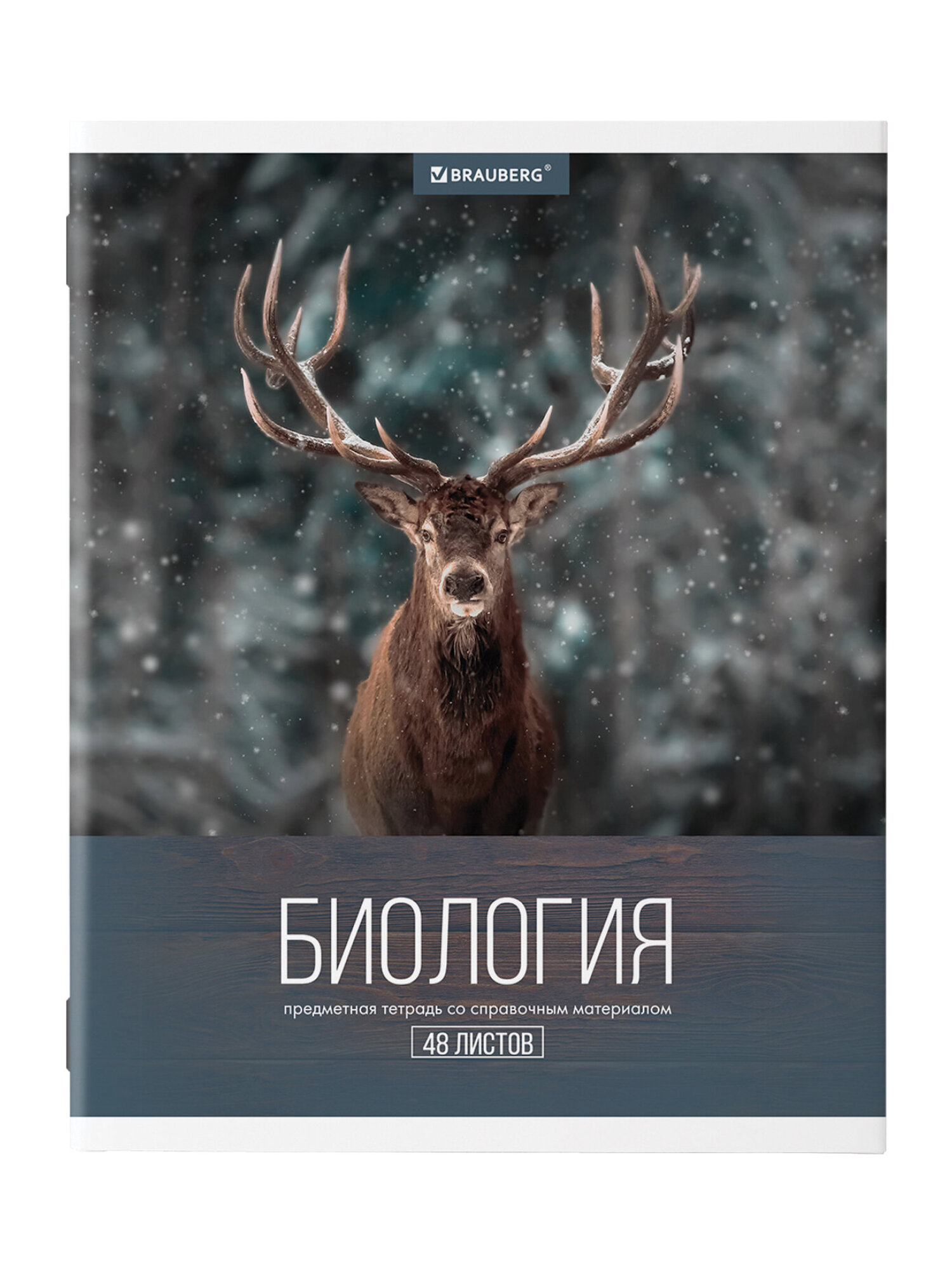 Тетрадь Brauberg 48 лист. 10 шт. - фото 14