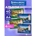 Альбом Brauberg А4 2 шт.