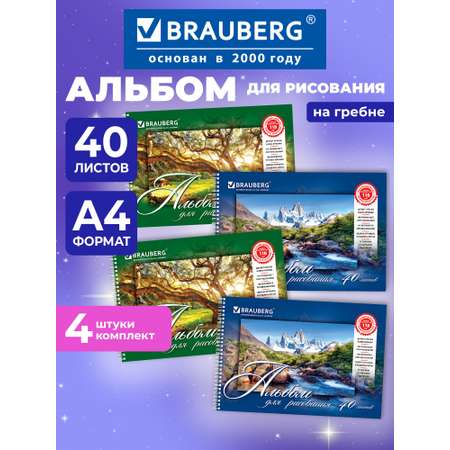 Альбом Brauberg А4 2 шт.