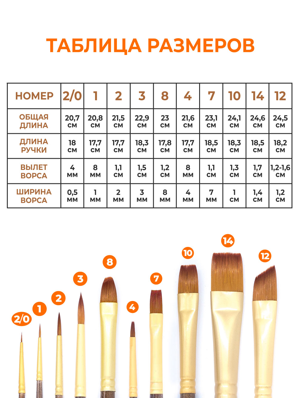 Кисть Малевичъ 10 шт. - фото 2