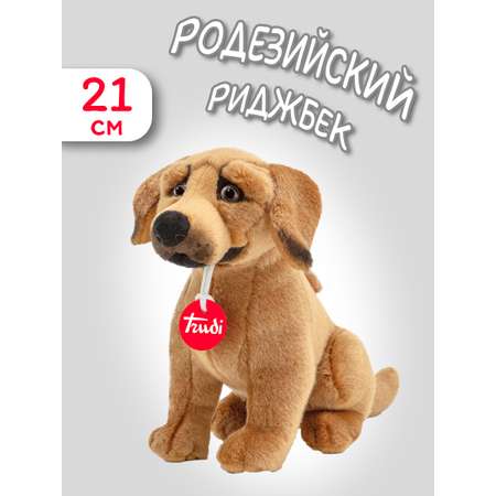 Мягкая игрушка Trudi Родезийский риджбек 21см