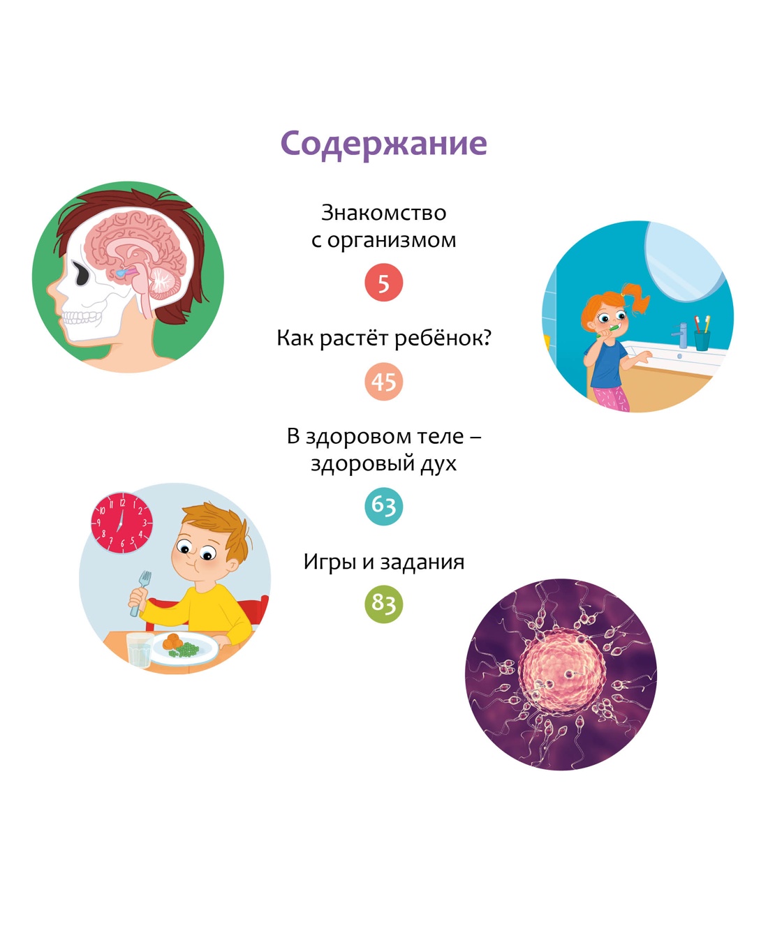 Книга Махаон Как устроено тело человека - фото 9