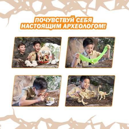 Набор для раскопок Zuru ROBO ALIVE Dino Fossil Find