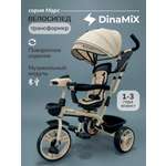 Трехколесный велосипед DinaMiX 10 дюймов