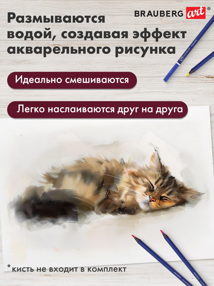 Карандаши акварельные Brauberg 48 шт. - фото 2