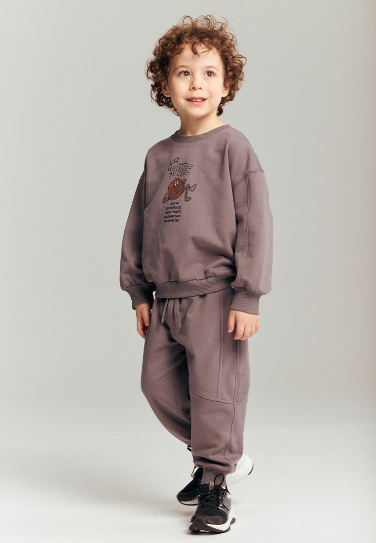 Cвитшот artie W25M08Т-1378M/Серый - фото 8