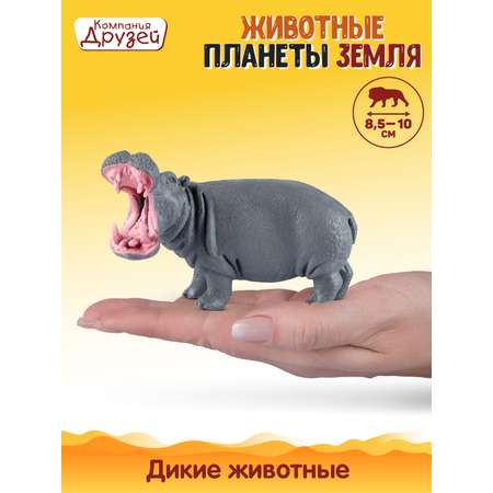 Игровой набор DARWIN Животные Бегемоты 2шт