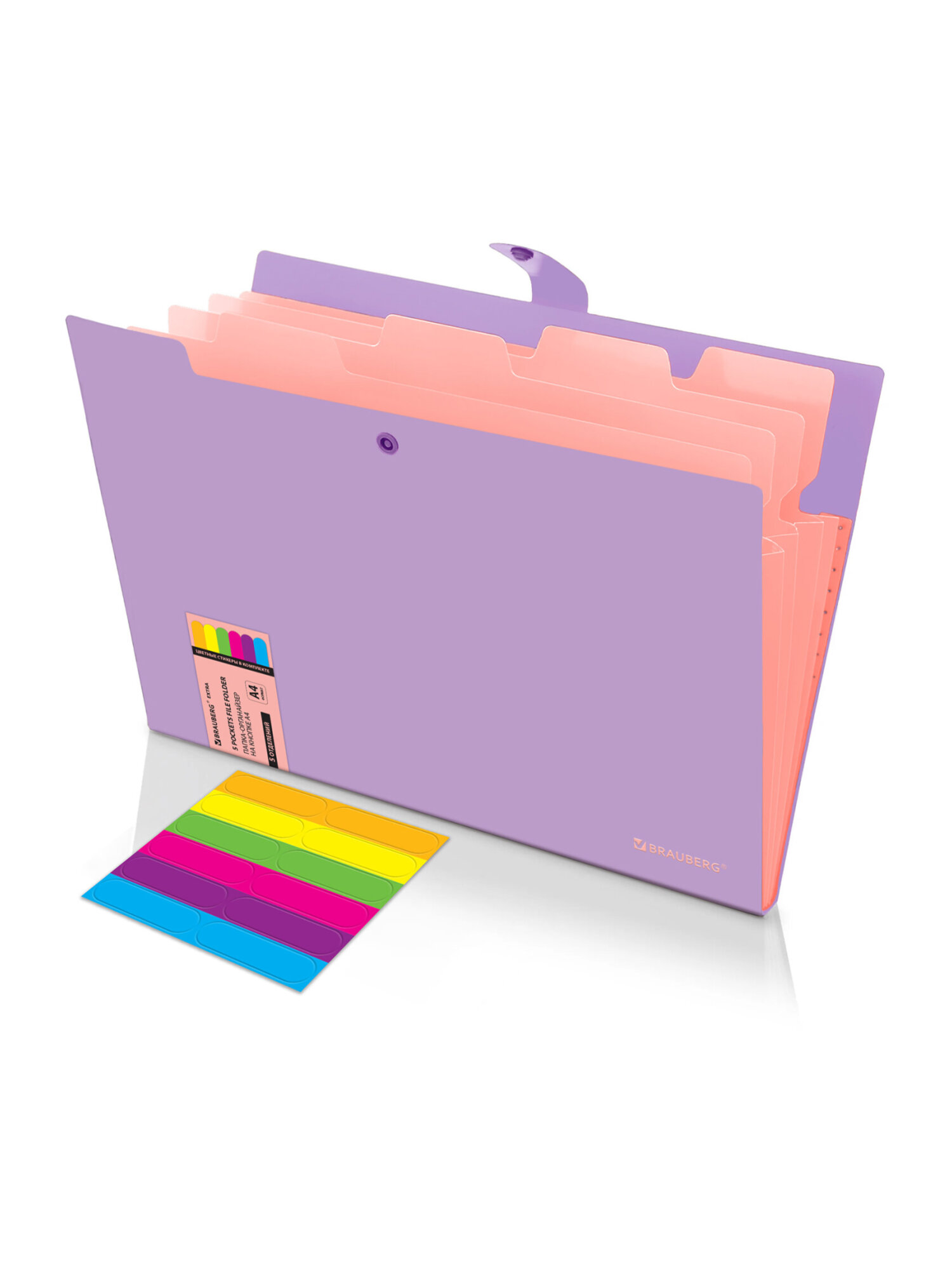 Папка-органайзер Brauberg А4 - фото 2
