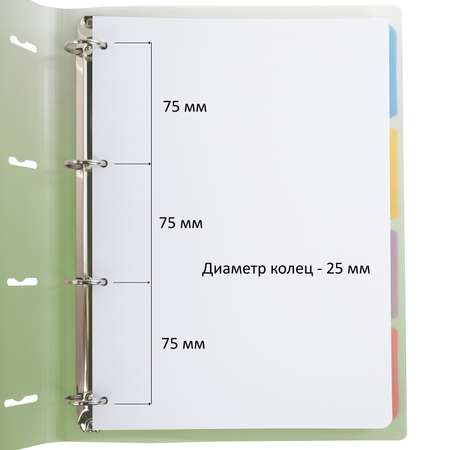 Тетрадь со сменным блоком Brauberg клетка 120 лист.