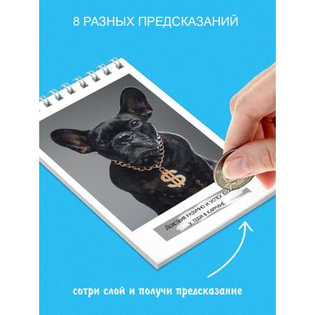 Блокнот HappyLine 8шт формат А6 для мальчиков