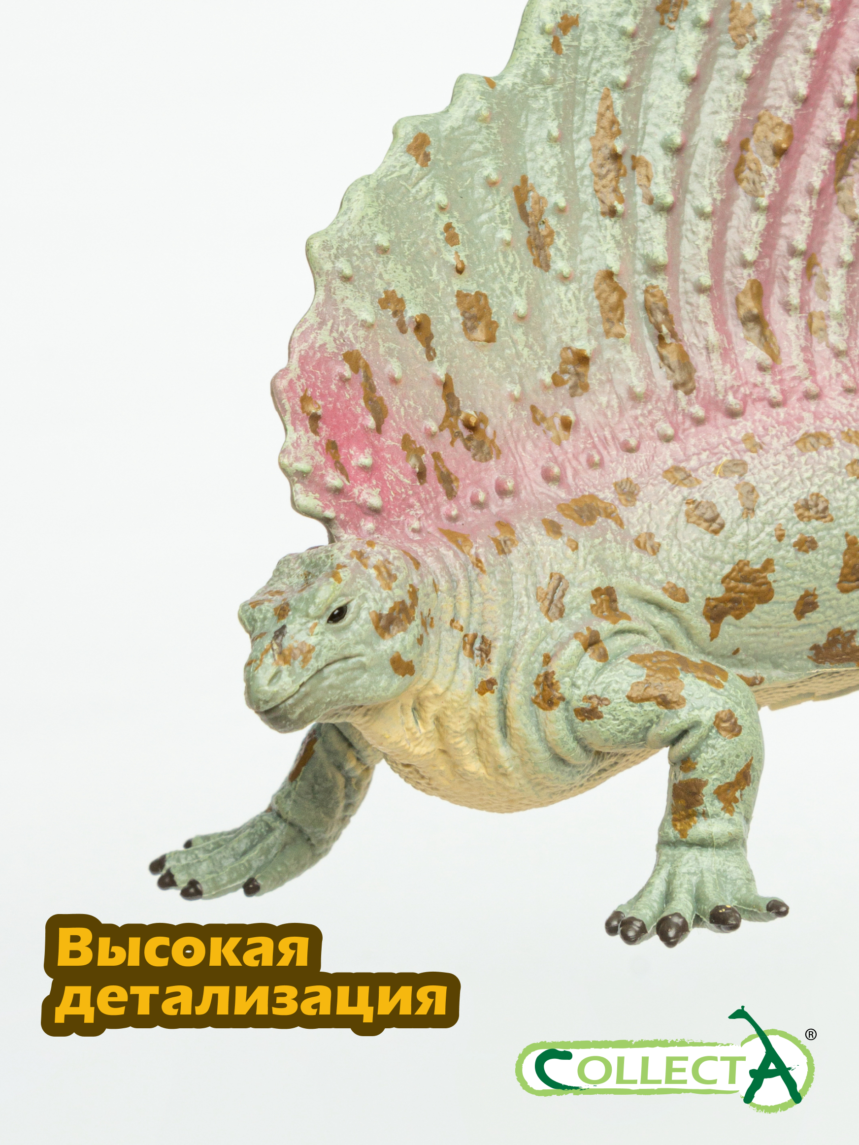 Фигурка Collecta Эдафозавр - фото 3