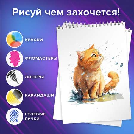 Альбом Brauberg А4 48 лист. 4 шт.