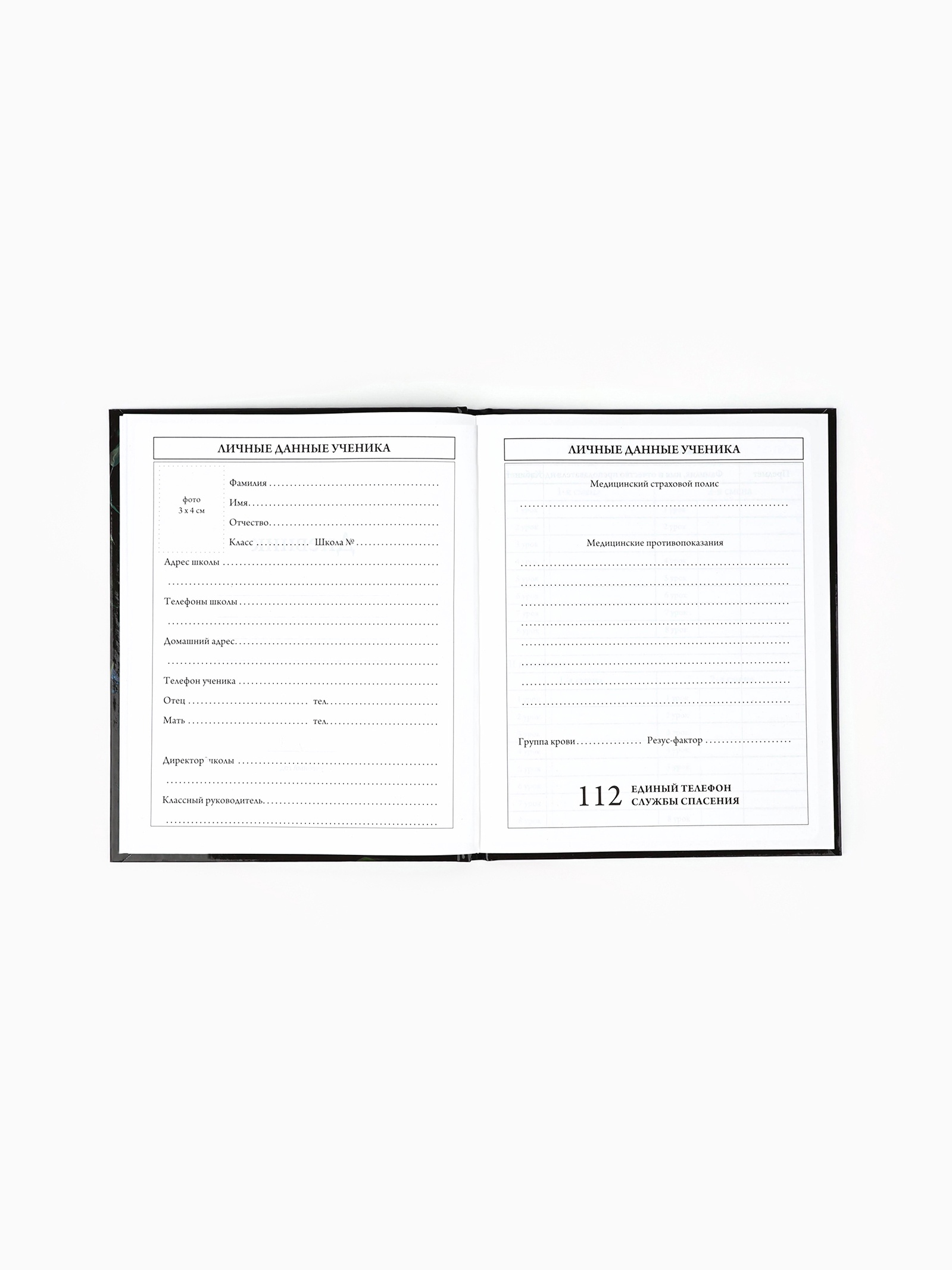 Дневник ArtFox STUDY школьный для 1-4 класса - фото 3