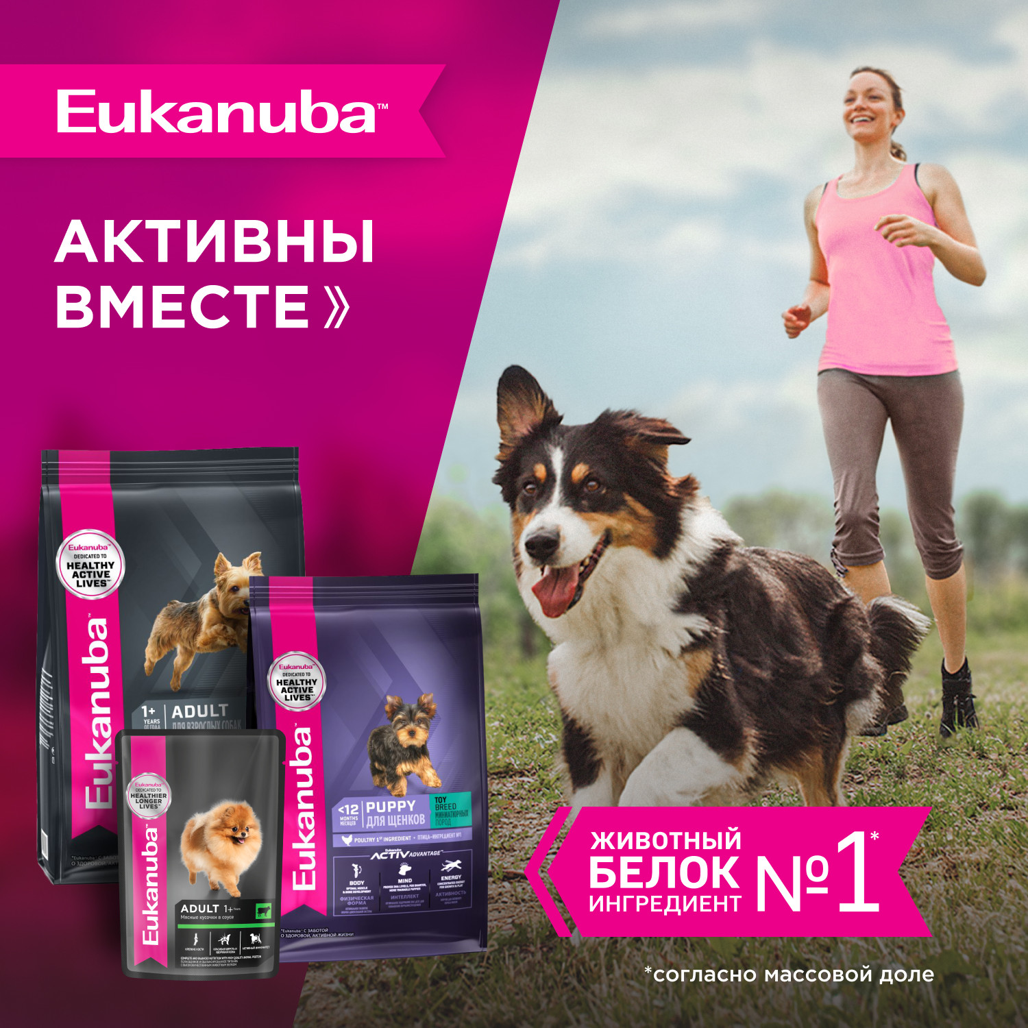 Корм Eukanuba Dog 1.5кг для взрослых собак миниатюрных пород сухой - фото 7