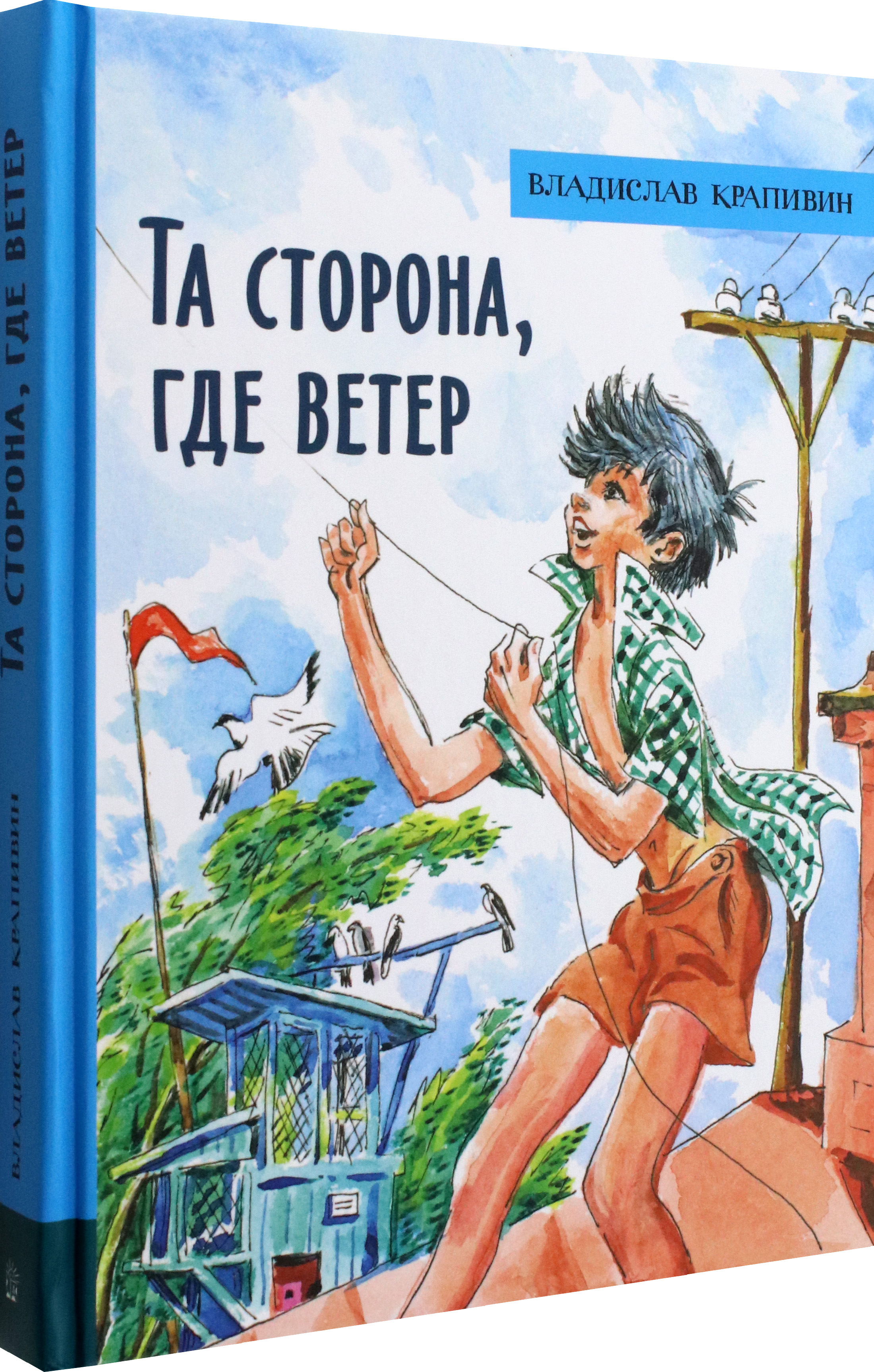 Книга Лабиринт Та сторона, где ветер - фото 2
