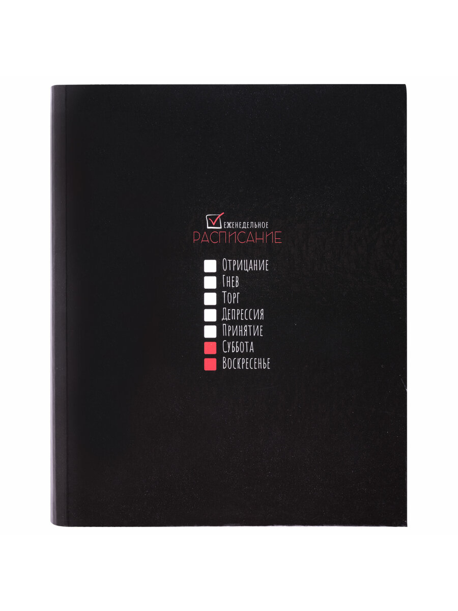 Тетрадь со сменным блоком Brauberg клетка 120 лист. - фото 4