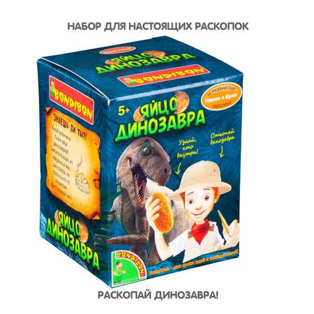 Набор для раскопок Bondibon Науки с Буки