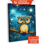 Алмазная мозаика Art sensation Звёздная совушка в ассортименте